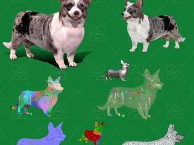 Cardigan Welsh Corgi Dog Low-poly 3D model
