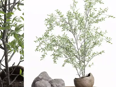 Pulm branch in dirty brown concrete vase - bouquet set 37 Low-poly 3D model