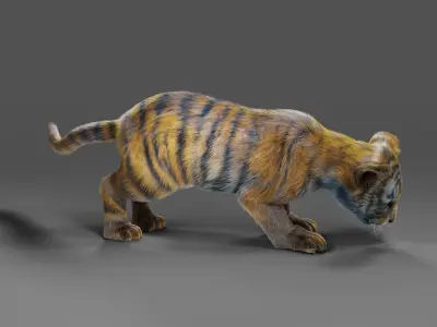 Fur White Tiger Cub Rigged in Blender Low-poly 3D model