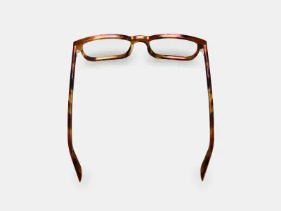 Donovan Eyeglasses in Root Beer 3D model