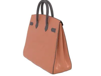 Hermes Birkin Faubourg Bag Brown Low-poly 3D model