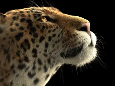 Jaguar ANIMATED Xgen core 3D model