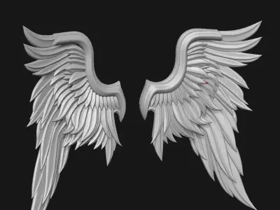 Wings 3D print model