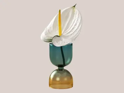 Anthurium flower 3D model