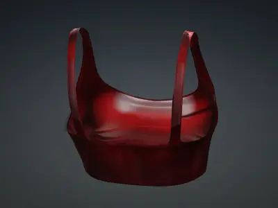 Red top PBR 4k Low-poly 3D model