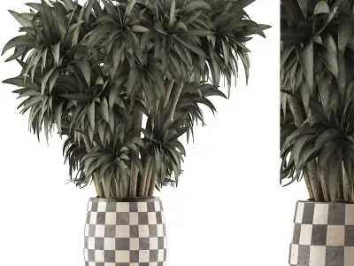 Plants Collection 97 3D model