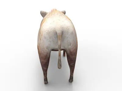 3D low poly Wild Boar Rigged Low-poly 3D model
