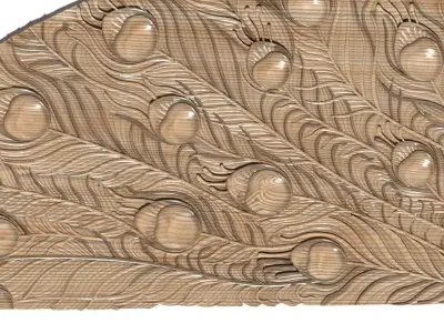 Cartouche-035 ornate peacock fan 3D model