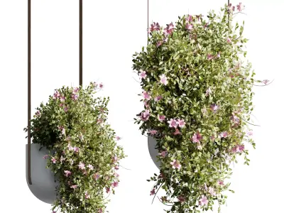 Hanging Flower Plant and Pot Lamp - Houseplant 685 3D model