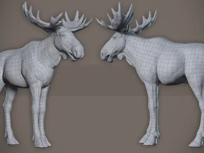 Moose low poly model Low-poly 3D model