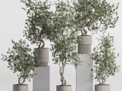 Plants collection 736 3D model