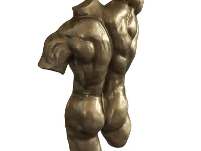 Nude Torso Wall Sculptures 3D model