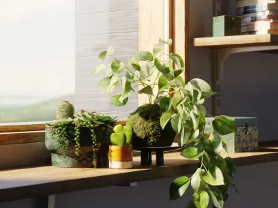 Indoor plants collection 3D model