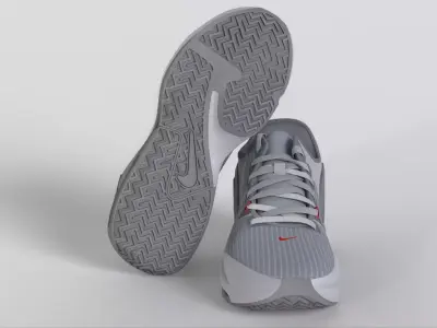 NikeLeBron Witness 6  Pure Platinum Low-poly 3D model