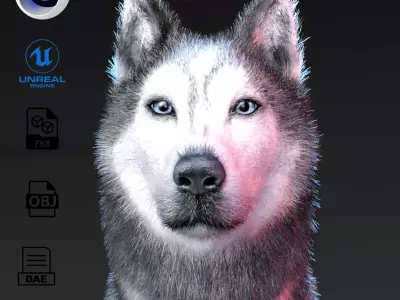 Photo realistic looking Dog Low-poly 3D model