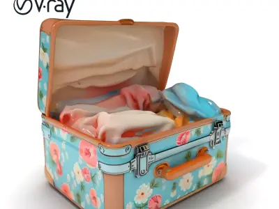 Vintage Floral Suitcase Model Pack with Clothing Items Low-poly 3D model