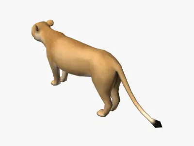Lion Female Low-poly 3D model