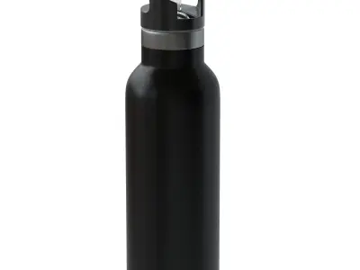 Water Bottle 3D model