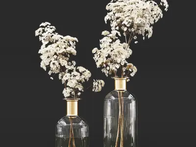 Collection Indoor Plants 014 3D model