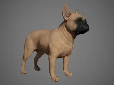 French Bulldog Real-Time Low-poly 3D model