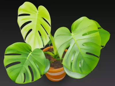 Realistic 3D Monstera Plant in Striped Terracotta Pot 3D model