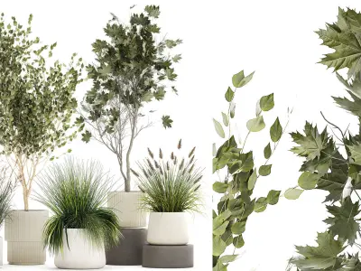 Beautiful bushes trees and grass in a flower pot for decoration  3D model