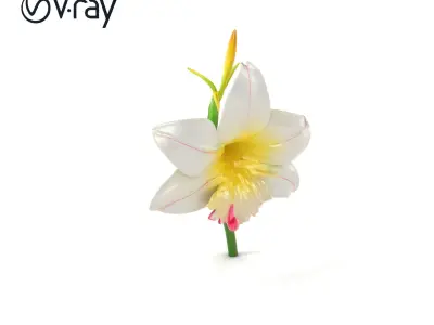 Freesia Grandiflora Large Blooms Model Pack Low-poly 3D model