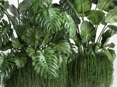 Houseplants in a flowerpot for the interior 962 3D model