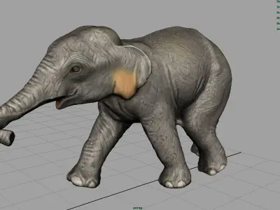 Asian Elephant Babe Low-poly 3D model
