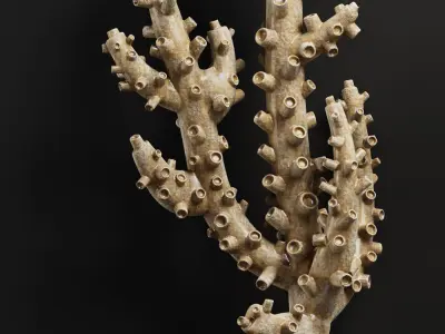 Decor Set 46 3D model