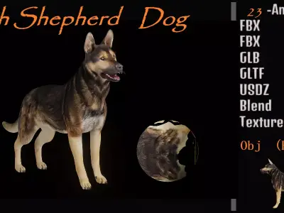 Shiloh Shepherd Dog Low-poly 3D model