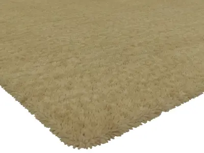 Rug Set 1869 3D model