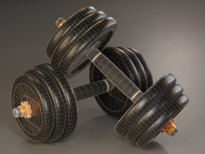 Dumbbell dumbbells Free 3D model