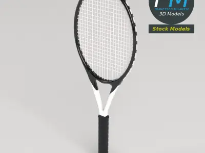 Tennis ball and racket set 3D model