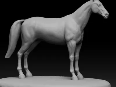 horse 3D model