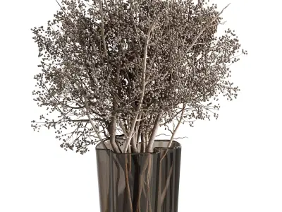Dry branch Plant in a Glass vase - Bouquet 77 3D model