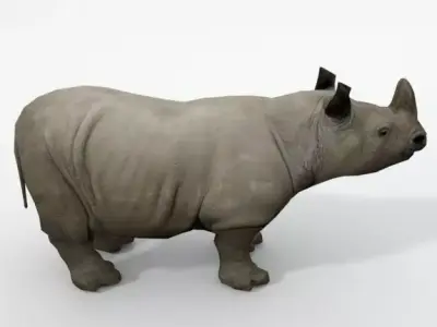 Rhino rhinoceros Low-poly 3D model