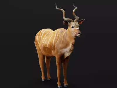 Greater Kudu Antelope Animal  Low-poly 3D model