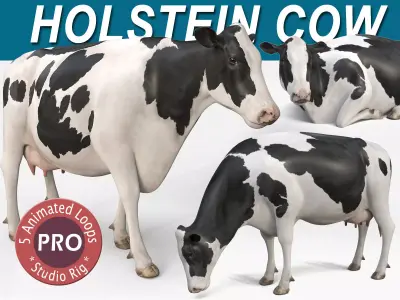 Cow PRO - Holstein 3D model