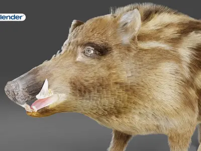 Fur Wild Boar NO Rigged in Blender  Low-poly 3D model