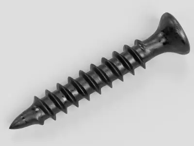 -Screw V1- 3D model