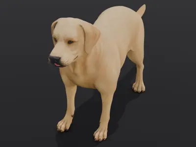 Dog Animated and Rigged Low-poly 3D model