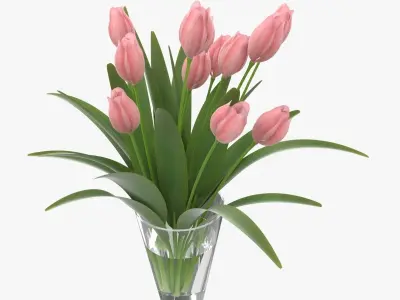 Flower Tulip in Vase 3D model