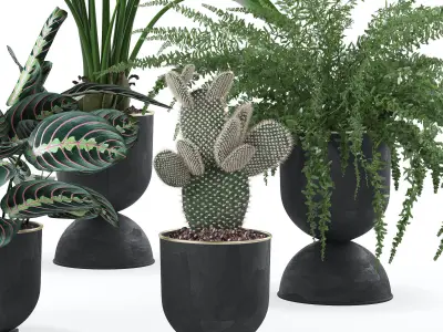 Plants collection 124 3D model