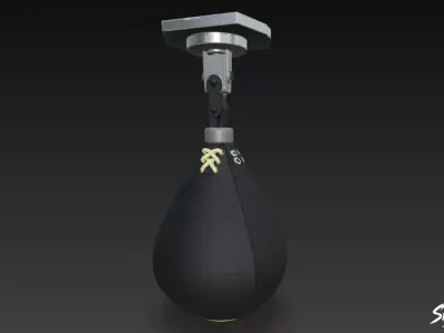 Black Speed Bag Low-poly 3D model