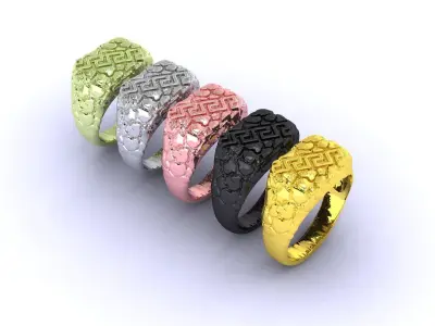 Jewelry Ring R001 5 MEASURES 3D print model