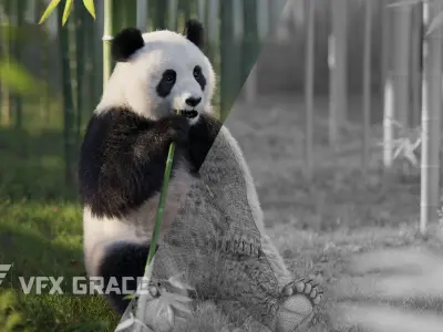 Panda Animation Vfx Grace 3D model