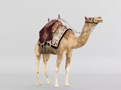 Camel 3D model