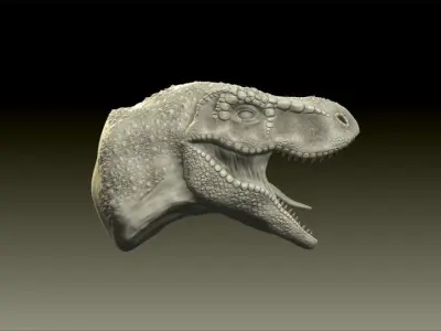 Tyrannosaurus Rex - head 3D model