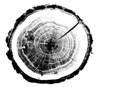 Forest House 3D model